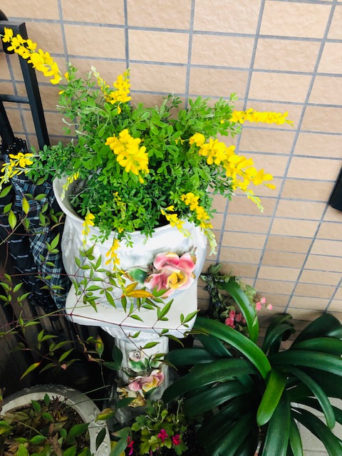 f:id:mwenge:20190221163330j:plain