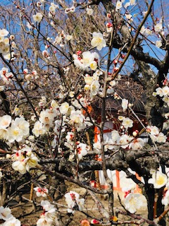 f:id:mwenge:20190225102802j:plain