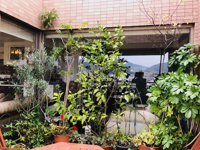 f:id:mwenge:20190306082628j:plain