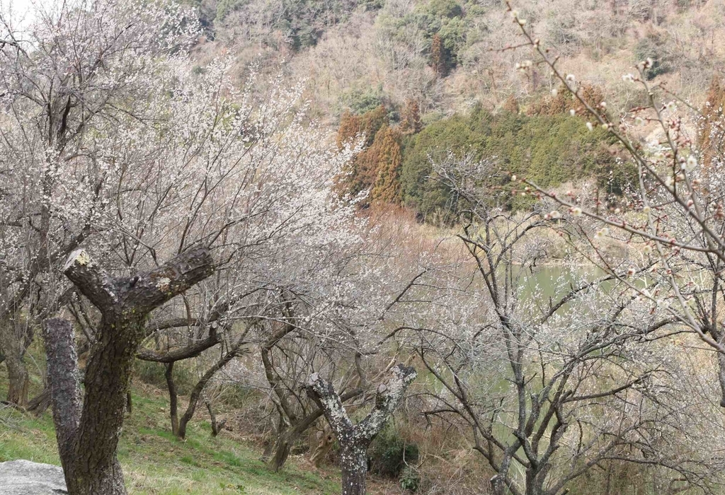 f:id:mwenge:20190306230219j:plain f:id:mwenge:20190306230219j:plain
