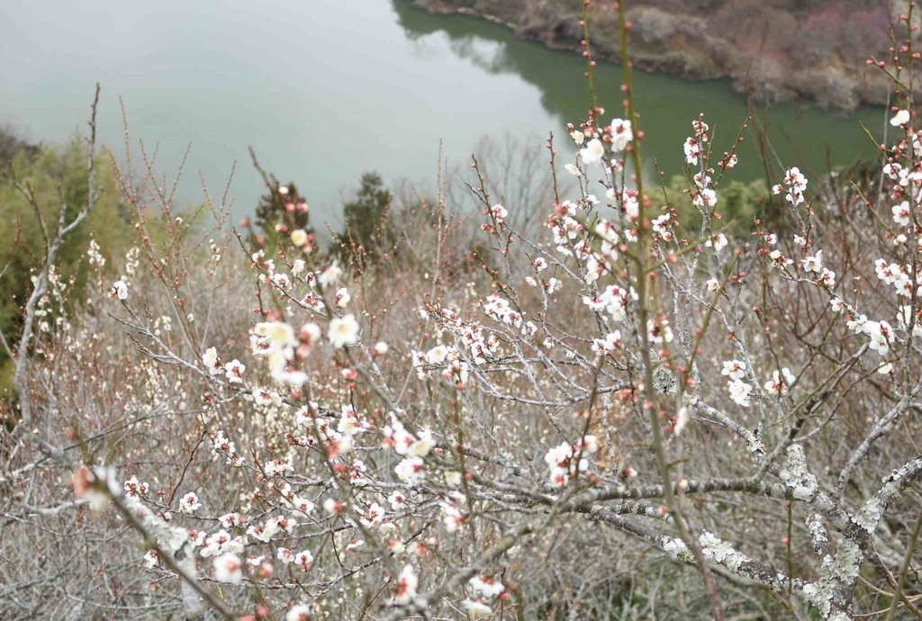 f:id:mwenge:20190306231218j:plain f:id:mwenge:20190306231218j:plain