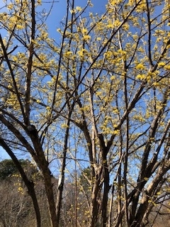 f:id:mwenge:20190318094150j:plain