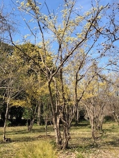 f:id:mwenge:20190318094232j:plain