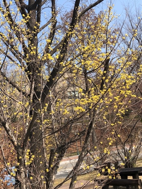 f:id:mwenge:20190326104453j:plain