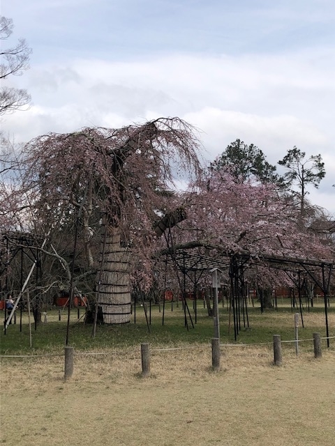f:id:mwenge:20190328153304j:plain f:id:mwenge:20190328153304j:plain