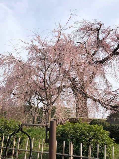 f:id:mwenge:20190329160127j:plain