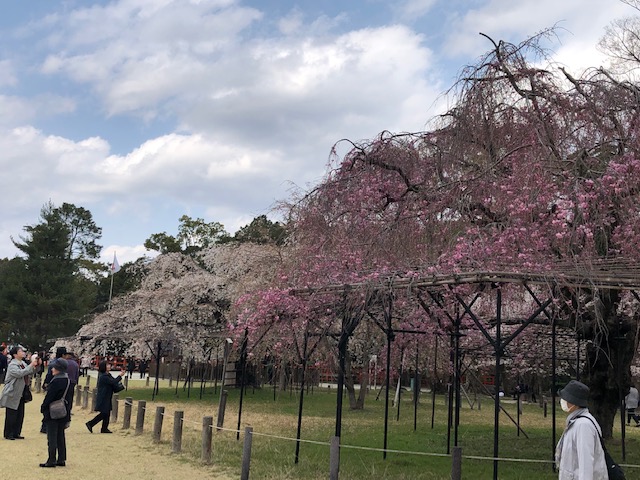 f:id:mwenge:20190408134805j:plain