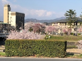 f:id:mwenge:20190408162557j:plain