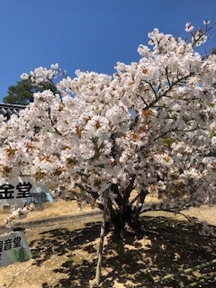 f:id:mwenge:20190416110943j:plain