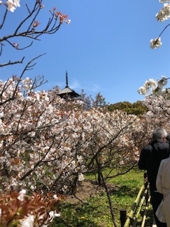 f:id:mwenge:20190416112027j:plain