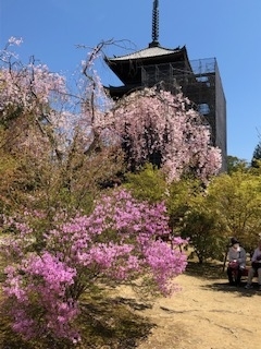 f:id:mwenge:20190416112250j:plain