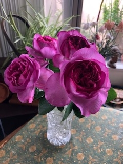 f:id:mwenge:20190417123231j:plain f:id:mwenge:20190417123231j:plain