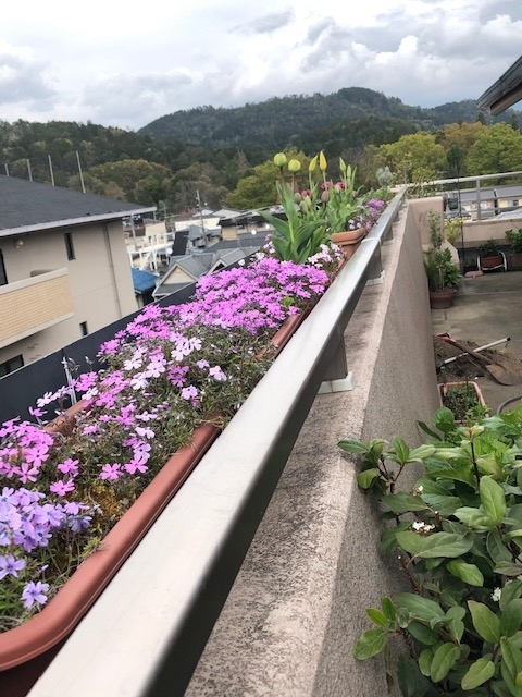 f:id:mwenge:20190417143645j:plain f:id:mwenge:20190417143645j:plain