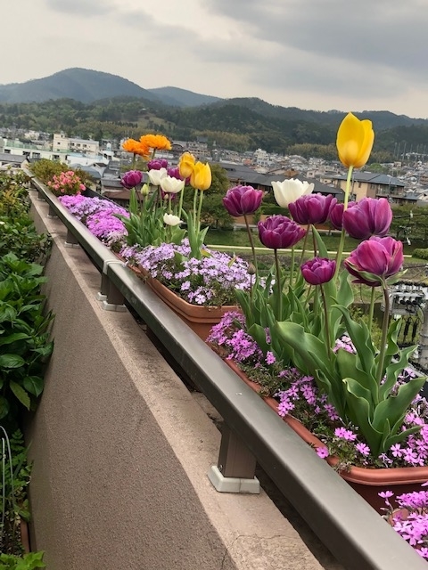 f:id:mwenge:20190423162756j:plain