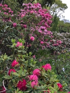 f:id:mwenge:20190425101702j:plain f:id:mwenge:20190425101702j:plain