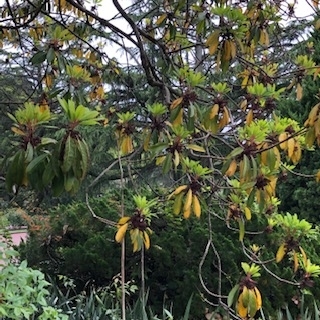 f:id:mwenge:20190425102130j:plain
