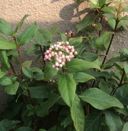 f:id:mwenge:20190425151159j:plain