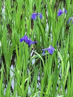 f:id:mwenge:20190501092525j:plain