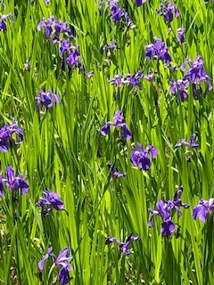 f:id:mwenge:20190508094247j:plain f:id:mwenge:20190508094247j:plain
