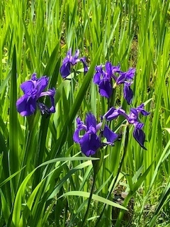 f:id:mwenge:20190508094609j:plain f:id:mwenge:20190508094609j:plain