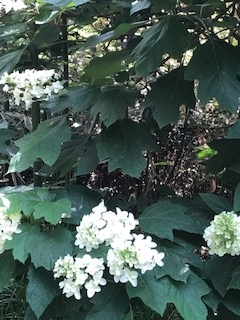 f:id:mwenge:20190515140026j:plain f:id:mwenge:20190515140026j:plain