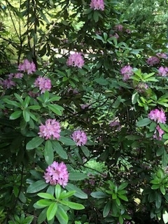 f:id:mwenge:20190515140223j:plain f:id:mwenge:20190515140223j:plain