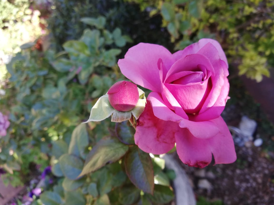 f:id:mwenge:20190608210803j:plain f:id:mwenge:20190608210803j:plain