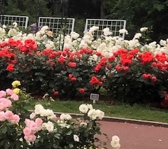 f:id:mwenge:20190608222024j:plain f:id:mwenge:20190608222024j:plain