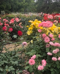 f:id:mwenge:20190608222035j:plain f:id:mwenge:20190608222035j:plain