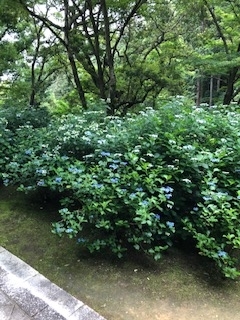f:id:mwenge:20190616152205j:plain f:id:mwenge:20190616152205j:plain