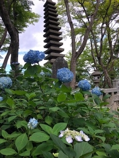 f:id:mwenge:20190616152833j:plain f:id:mwenge:20190616152833j:plain