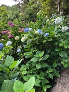 f:id:mwenge:20190616153047j:plain f:id:mwenge:20190616153047j:plain