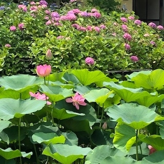 f:id:mwenge:20190622093100j:plain