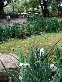 f:id:mwenge:20190623125428j:plain f:id:mwenge:20190623125428j:plain