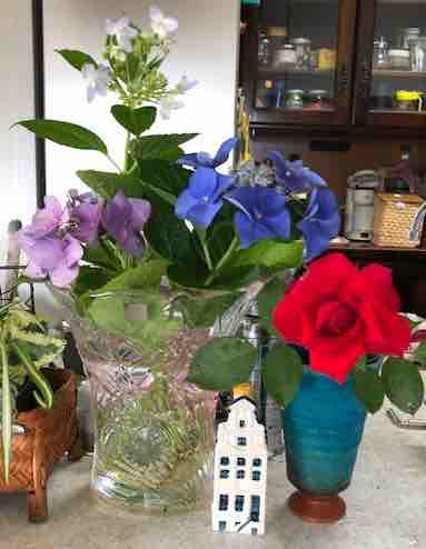 f:id:mwenge:20190705120014j:plain