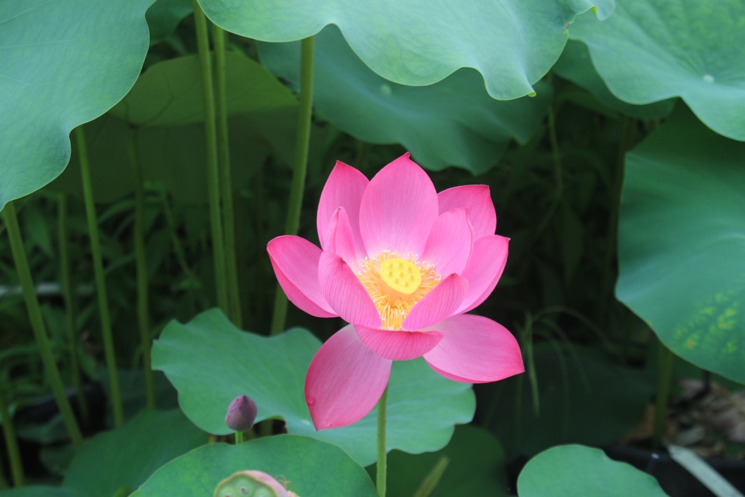 f:id:mwenge:20190831194933j:plain f:id:mwenge:20190831194933j:plain