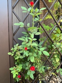 f:id:mwenge:20190909114517j:plain f:id:mwenge:20190909114517j:plain