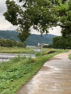 f:id:mwenge:20190921101633j:plain