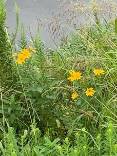 f:id:mwenge:20190921102044j:plain