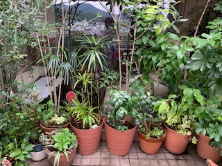 f:id:mwenge:20191021130845j:plain
