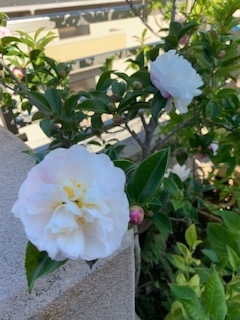 f:id:mwenge:20191028095621j:plain