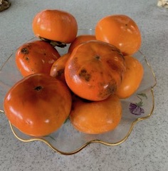 f:id:mwenge:20191028134038j:plain