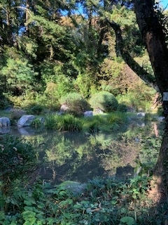 f:id:mwenge:20191102141918j:plain f:id:mwenge:20191102141918j:plain