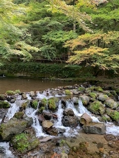 f:id:mwenge:20191103072831j:plain f:id:mwenge:20191103072831j:plain