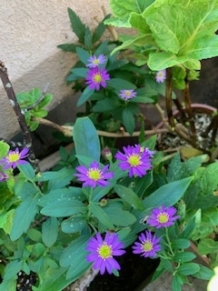 f:id:mwenge:20191106151713j:plain f:id:mwenge:20191106151713j:plain