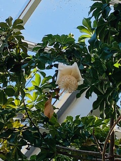 f:id:mwenge:20191109114155j:plain