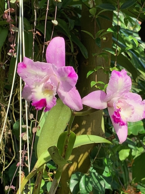 f:id:mwenge:20191109114922j:plain