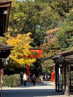 f:id:mwenge:20191110100125j:plain
