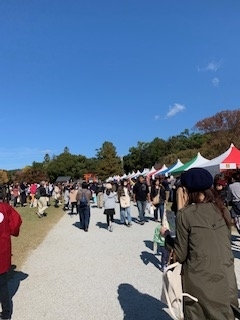 f:id:mwenge:20191110111518j:plain