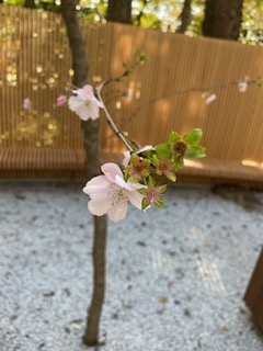 f:id:mwenge:20191110132022j:plain